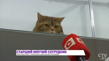 это всё потому, что не нашли ему занятие по душе