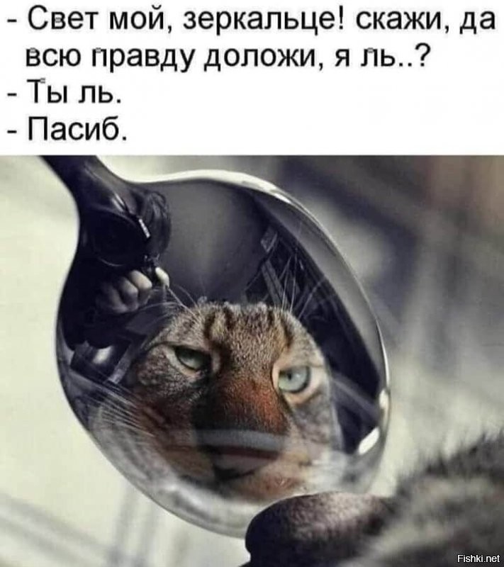 Солянка от 23.07.2020