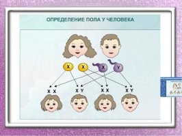 Девушку отправили на две недели в мужскую камеру
