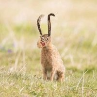 Отец-выдумщик оживляет детские рисунки