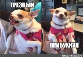 В мире животных так же