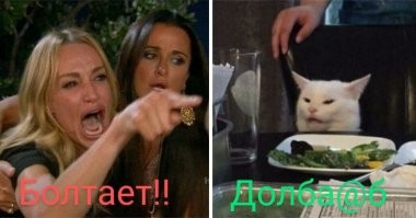 Убойные мемы с котом, которые заставят вас посмеяться от души