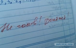 Убойные мемы с котом, которые заставят вас посмеяться от души