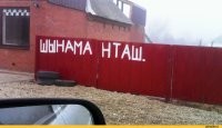 Богатый урожай, собранный на трассе