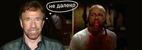 Прикольные и смешные картинки