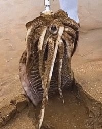 Бля, сидела зверушка, никого не трогала - нет, надо подойти, палкой потыкать!