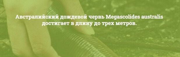 кто бы сомневался