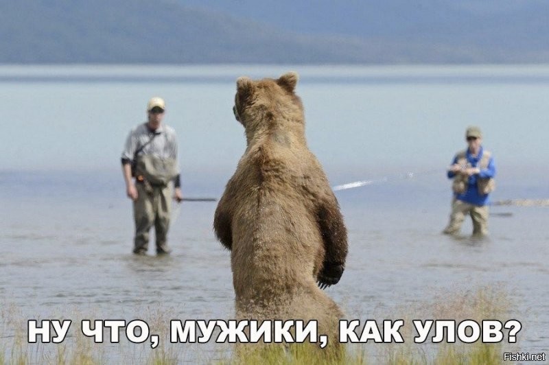 Что-то происходит