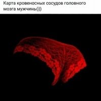 Ученые открыли сходство пчелиных ульев с кристаллами