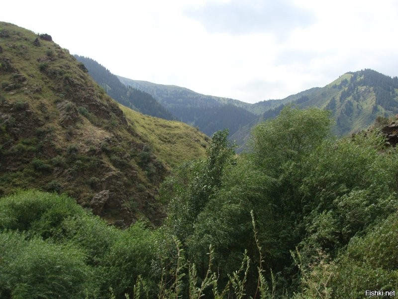 Тургенское ущелье.
Вид по дороге к водопаду и водопад.