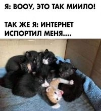 25&nbsp;невинных картинок в доказательство того, что интернет нас&nbsp;испортил