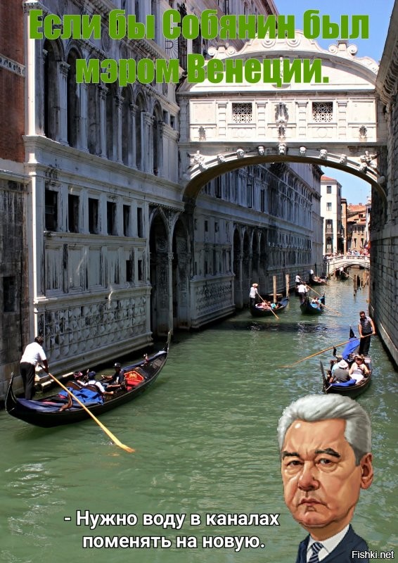 Так вот почему Венеция уходит под воду... Толстяки уровень воды в каналах повышают. 
 Может оксидом дейтерия заменить?