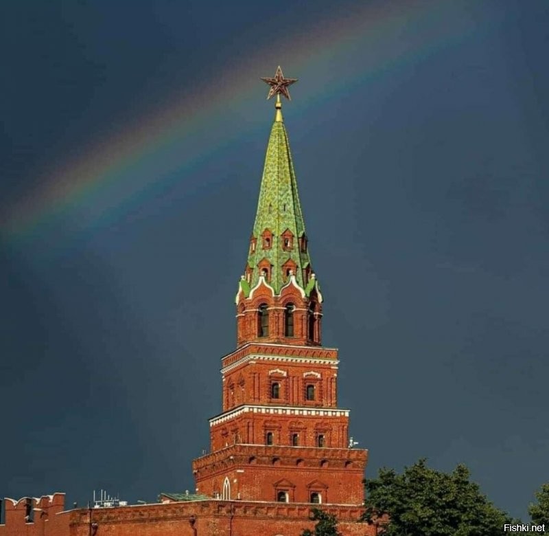 Солянка от 25.07.2020