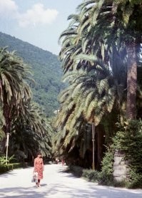 Понятия не имею кто снят на фотках. Напионерил большую кучу самых разных фоток с самых разных окраин инета, где, как правило, нет их описания, и выкладываю их согласно задуманной мною теме.

.