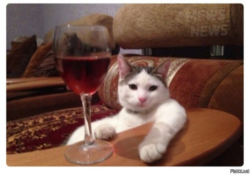 Это лучше вечером с вином и фруктами