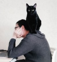 Наши хвостатые подобрыши почти все на моём супруге "живут" - очень социальные, без людей не могут. Один котик, правда, на плечи залезть не может - жирненький, под 10 кг