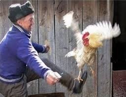 суровая реальность