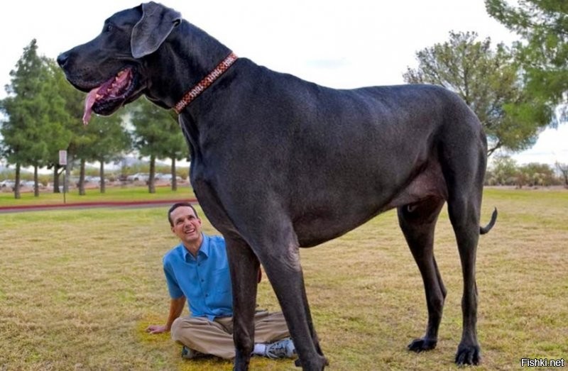 Солянка от 25.07.2020