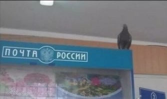 Взяли.