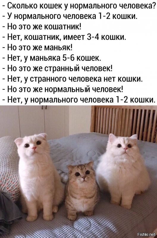 Солянка от 25.07.2020