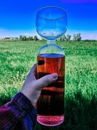 Дорогой, я всего один фужер вина выпила))