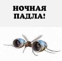 Сколько раз может кусаться один и тот же комар?