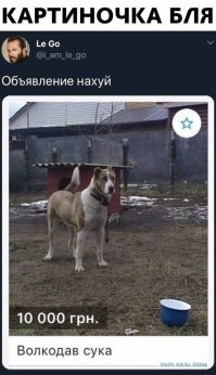 Объявления как отдельный вид искусства