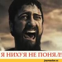 Прикольные и смешные картинки