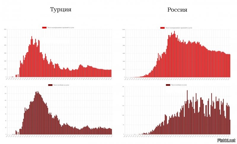 Смотрим графики динамики короновируса - вверху количество подтверждённых заболеваний, внизу количество умерших.
Сравниваем.
И каждый сам решает, где безопасней отдыхать.