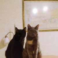 Черныш и Варя