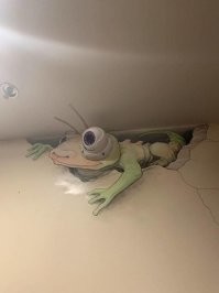 Фотоподборка