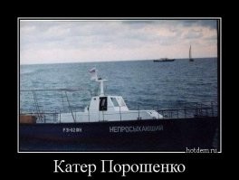 Прикольные и смешные картинки