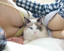 Хотя..