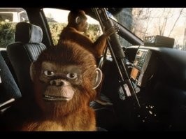 Обезьяны в сафари-парке взялись за оружие