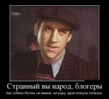 блогеры другими не бывают