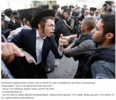 Прикольные и смешные картинки