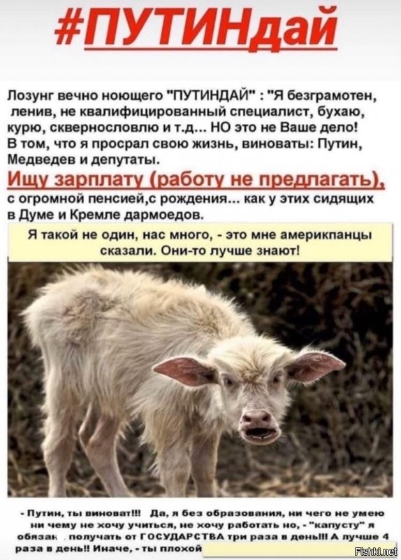 Политические комментарии из инета
