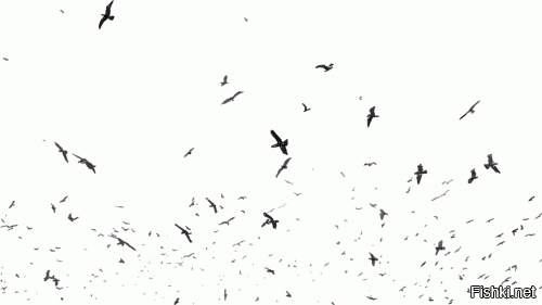 Видеонаблюдение