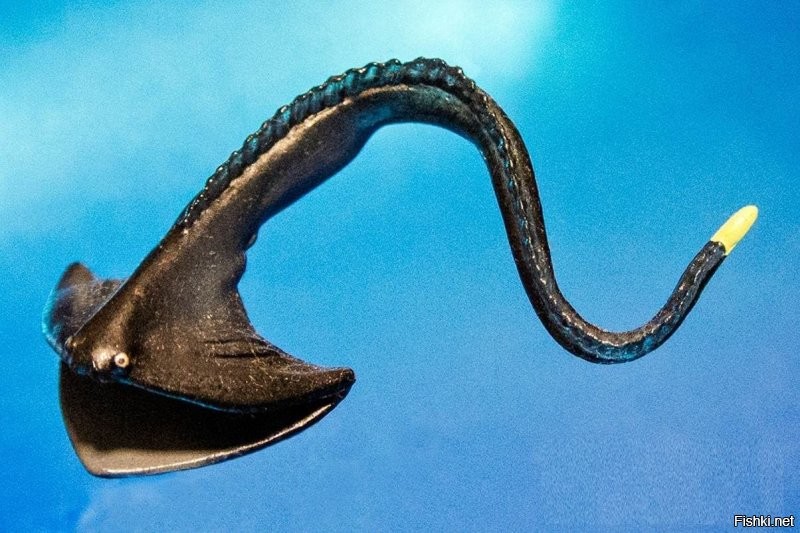 + Бразильская глубоководная светящаяся акула
+ Пеликановидный большерот