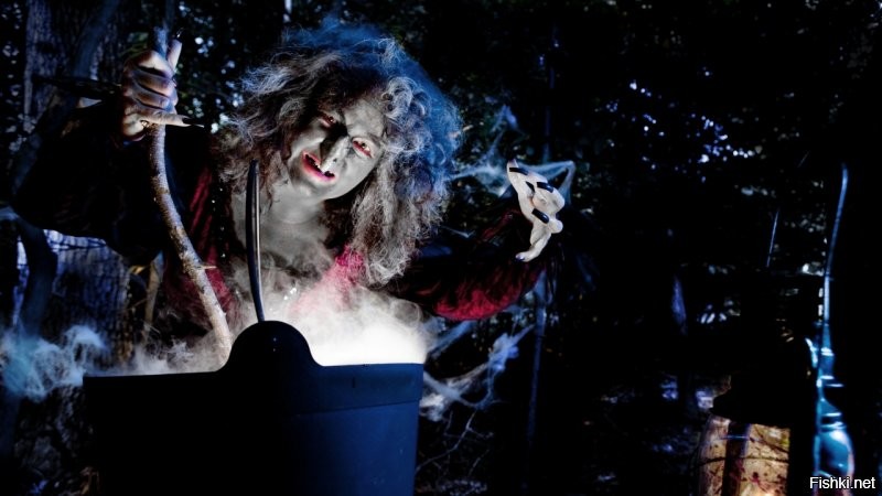 Крибле-крабле-бумс.. и Гарри Потер стал деревом...