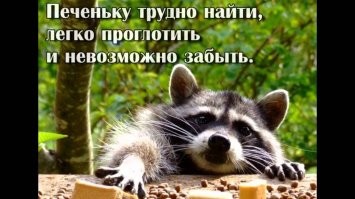 Прикольные и смешные картинки