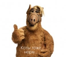 Прикольные и смешные картинки