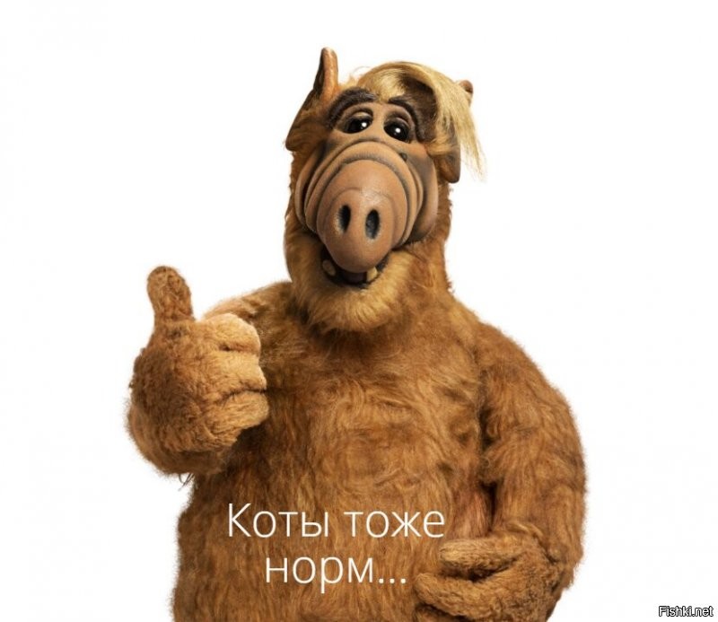 Прикольные и смешные картинки