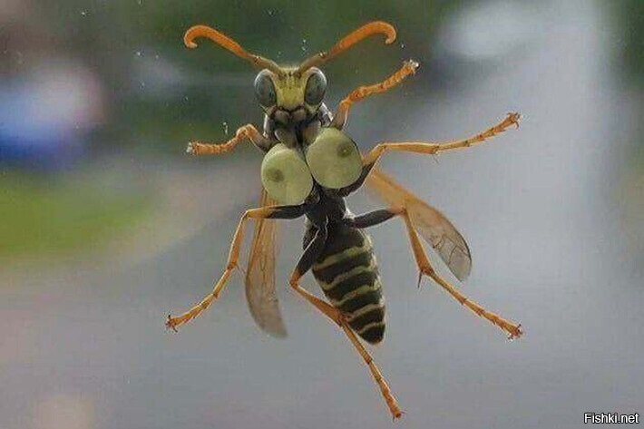 Солянка от 28.07.2020