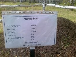 Факты обо всём