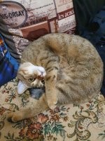 Прикольные и смешные картинки