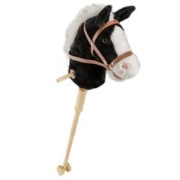 У меня тоже есть свой конь