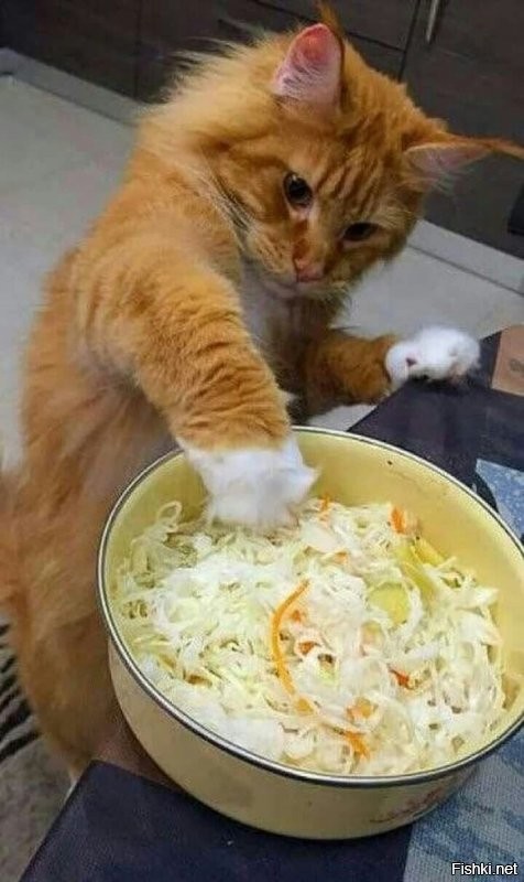 Солянка от 28.07.2020