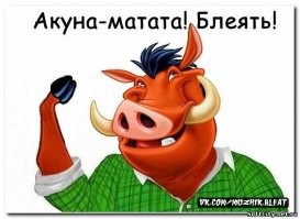 Кто поросёночка обидел? Родители прибежали спасать своего детеныша