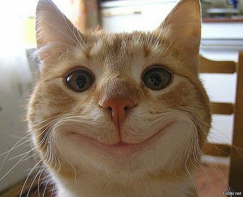 Иван Федорович )